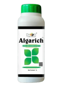 Prapti Algarich organic seaweed fertilizer Ascophyllum nodosum soil conditioner for plant growth and fruit quality