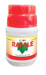 WhatsApp Image 2025-08-22 at 16.38.22_dd2e7582