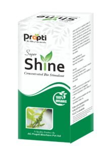 WhatsApp Image 2025-08-22 at 16.43.50_dfc1e425