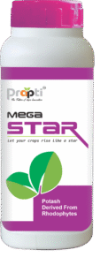 mega star